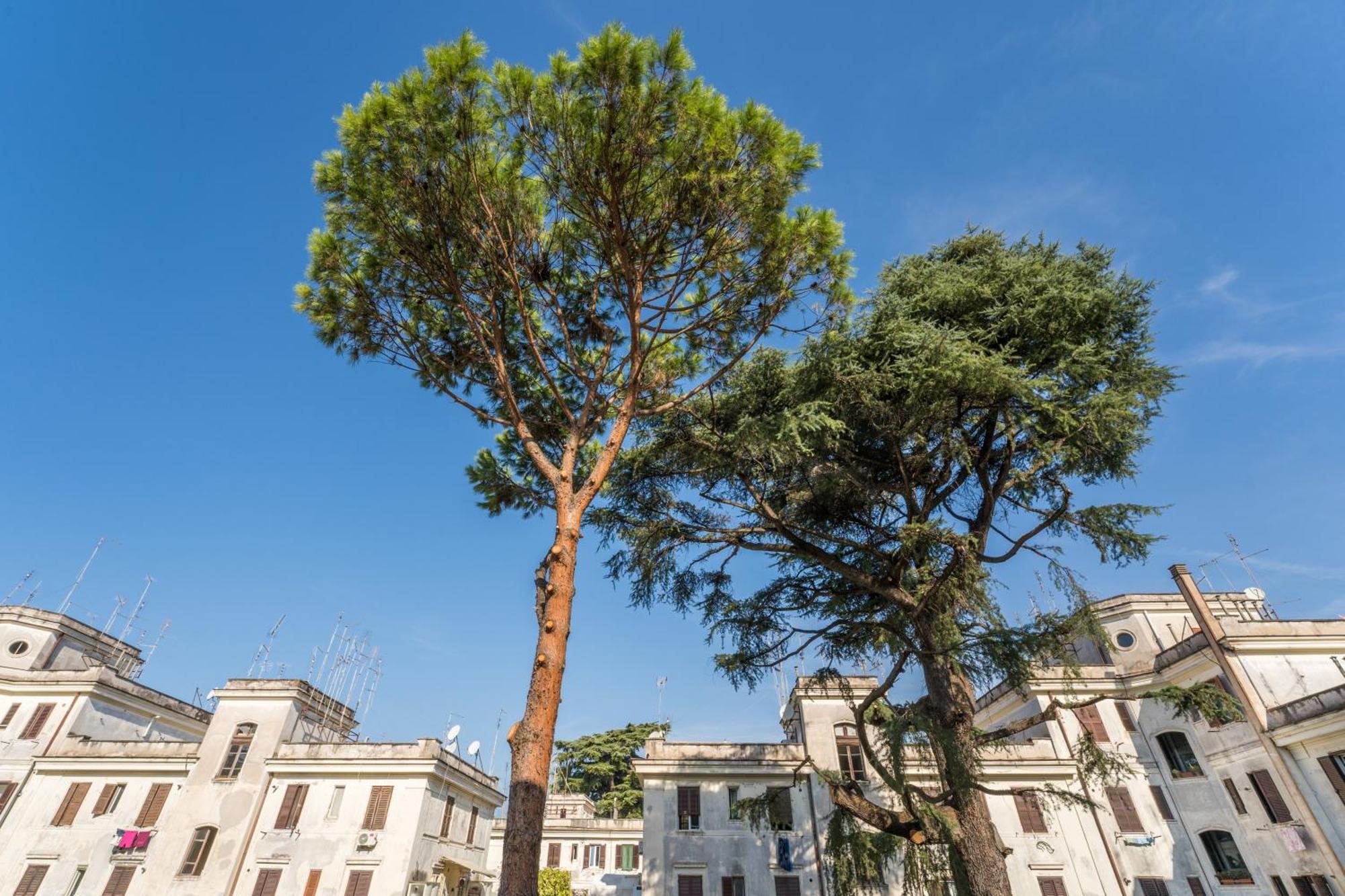 Fisher'S Apartment In Testaccio Roma Eksteriør bilde